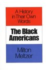 Black Americans A History in Their Own Words 16191983