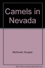 Camels in Nevada