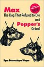 Max The Dog That Refused To Die And Pepper's Ordeal