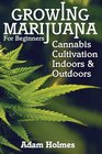 Growing Marijuana For Beginners Cannabis Cultivation Indoors and Outdoors