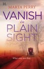 Vanish in Plain Sight (Amish Suspense, No 2)