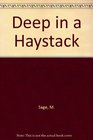 Deep in a Haystack 2