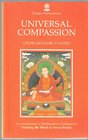 Universal compassion A commentary to bodhisattva Chekhawa's Training the mind in seven points