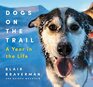 Dogs on the Trail A Year in the Life