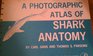 Photographic Atlas of Shark Anatomy