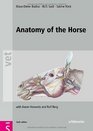 Anatomy of the Horse