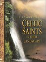 Celtic Saints in their Landscape