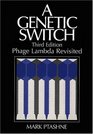 Genetic Switch Phage Lambda Revisited