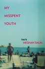 My Misspent Youth Essays