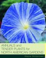 Annuals and Tender Plants for North American Gardens