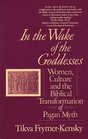 In the Wake of the Goddesses : Women, Culture and the Biblical Transformation of Pagan Myth