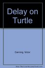 Delay on Turtle