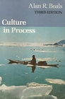 Culture in Process
