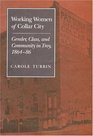 Working Women of Collar City Gender Class and Community in Troy New York 186486
