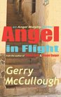Angel in Flight an Angel Murphy thriller