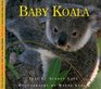 Baby Koala