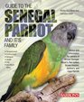 Guide to the Senegal Parrot and Its Family