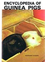 Encyclopedia of Guinea Pigs