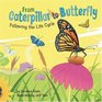 From Caterpillar to Butterfly Following the Life Cycle