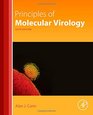 Principles of Molecular Virology Sixth Edition