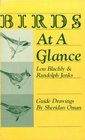 Birds at a Glance A Guide to the Eastern Land Birds from South Carolina West to the Rocky Mountains and North to the Arctic