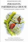 A Guide to the Pheasants Partridges Quails Grouse Guineafowl Buttonquails and Sandgrouse of the World