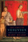 The Fires of Vesuvius Pompeii Lost and Found