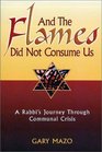 And the Flames Did Not Consume Us  A Rabbi's Journey Through Communal Crisis