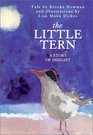 The Little Tern A Story of Insight