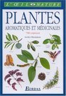 Plantes aromatique et mdicinales