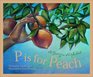 P is for Peach A Georgia Alphabet