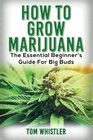 Marijuana How to Grow Marijuana  The Essential Beginner's Guide For Big Buds