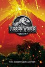 Jurassic World Fallen Kingdom The Junior Novelization