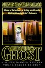Aunt Matilda's Ghost (A Silver Dagger Mystery, Young Reader's Edition)