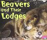 Beavers and Their Lodges