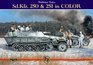 SdKfz 250  251 in Color
