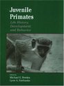 Juvenile Primates Life History Development and Behavior