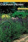 Culinary Herbs (Plants & Gardens Series)