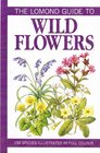 The Lomond Guide to Flowers