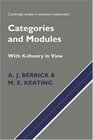 Categories and Modules With KTheory in View