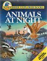 Animals at Night