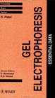 Gel Electrophoresis  Essential Data