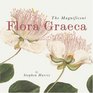 The Magnificent Flora Graeca How the Mediterranean Came to the English Garden