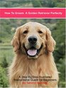 How to Groom a Golden Retriever Perfectly A Step by Step Illustrated Guide for Petquality Grooming