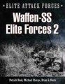 WaffenSS Elite 2 Hohenstaufen and Grossdeutschland