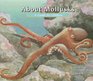 About Mollusks A Guide for Children