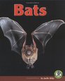 Bats (Early Bird Nature)