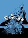 Batman by Jeph Loeb  Tim Sale Omnibus