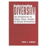 Understanding Diversity An Introduction to Class Race Gender And Sexual Orientation