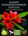 Hardy Rhododendron Species A Guide to Identification